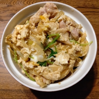 初めて自分で親子丼作りました！
親子丼用フライパンで作ったら溢れかけてアワアワしましたが、なんとかできました！
ごちそうさまでした！